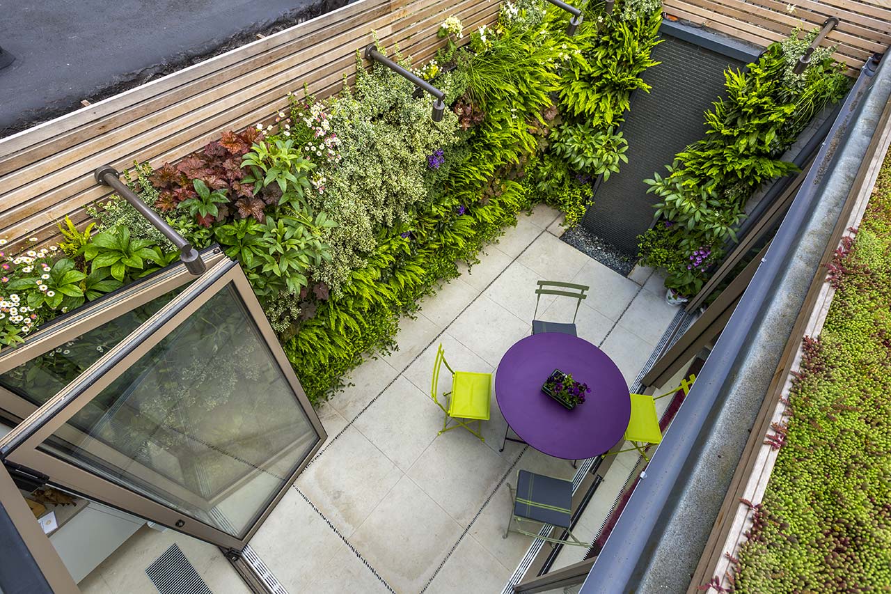 Kelso Place small patio transformed with careful lighting and hidden bird boxes