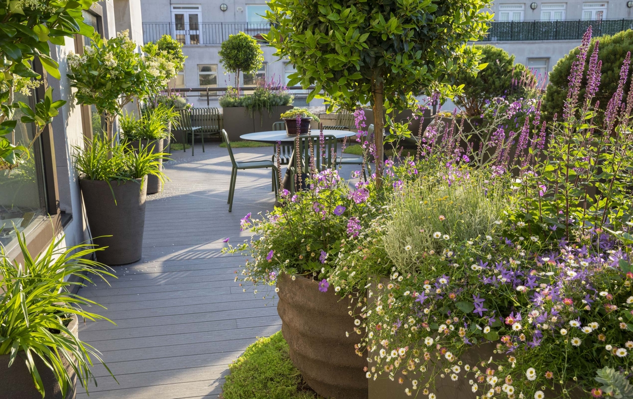 Mayfair Roof Terrance / Maïtanne Hunt Gardens & Landscapes