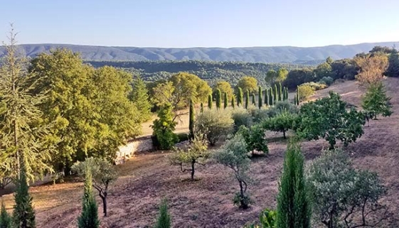 Provence landscape by Maïtanne Hunt