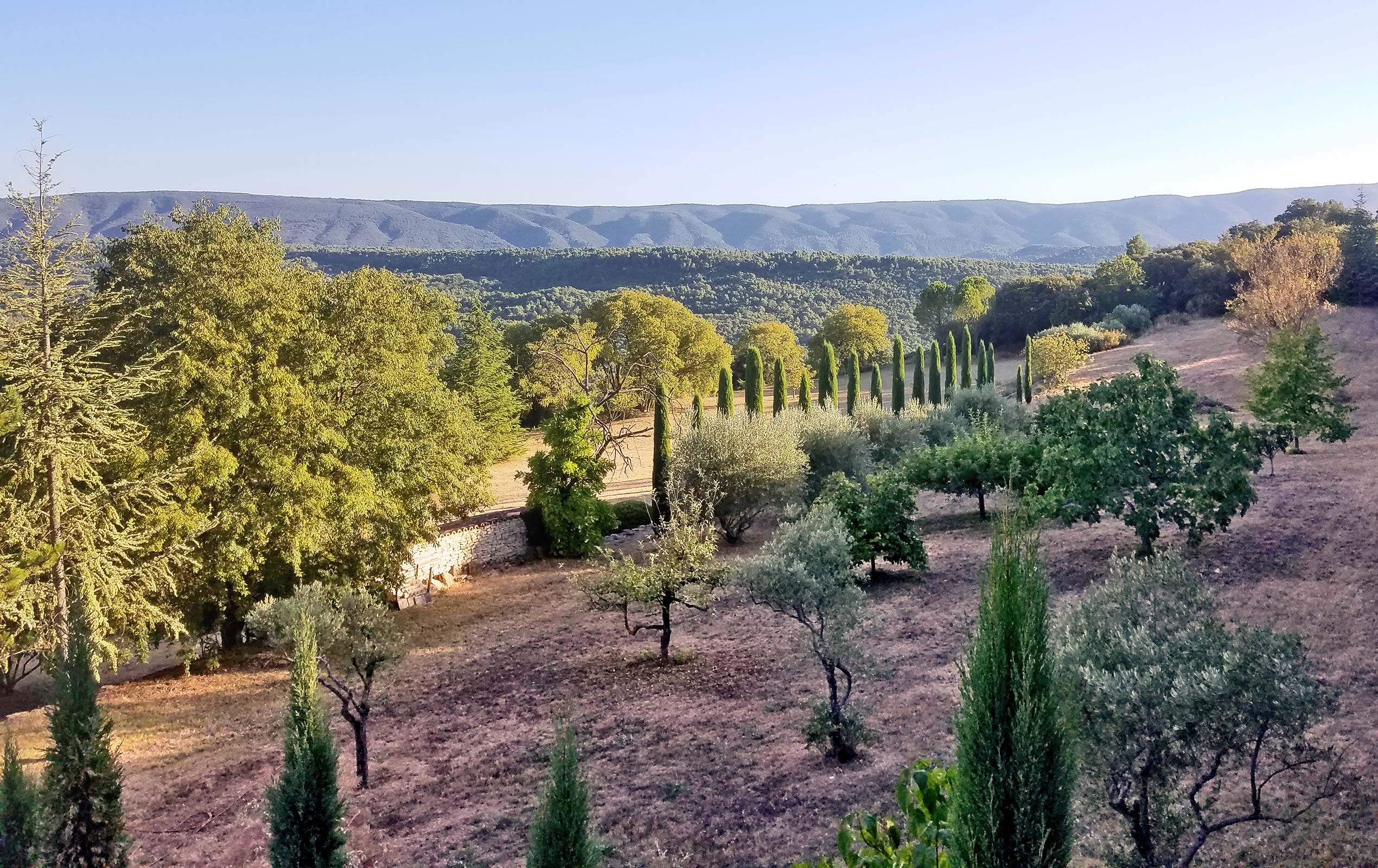 Provence Landscape and Garden Design by Maïtanne Hunt