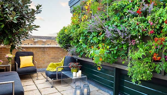 Bermondsey Roof Terrace Green Wall designed and built by Maïtanne Hunt