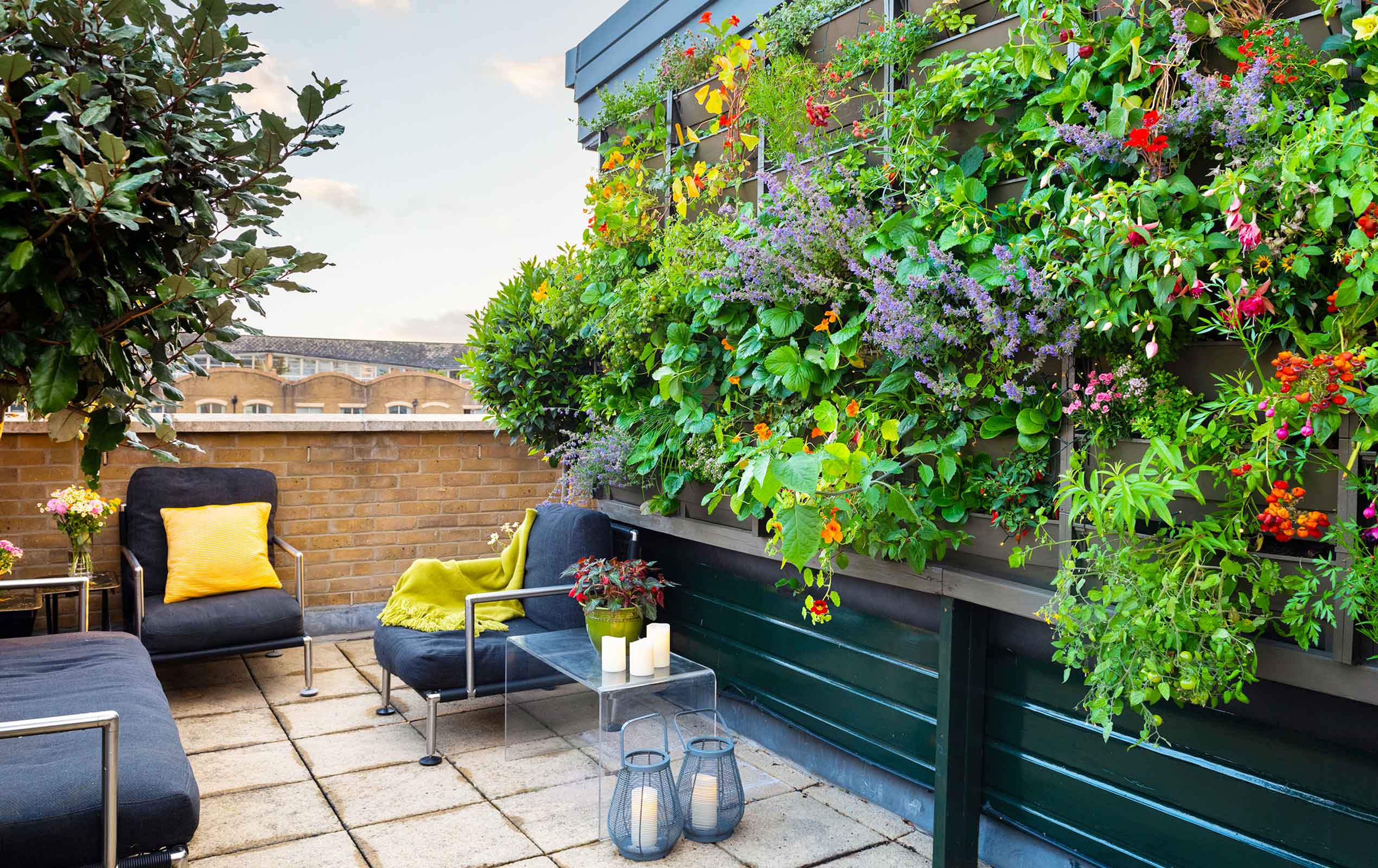 Bermondsey Roof Terrace Green Wall designed and built by Maïtanne Hunt