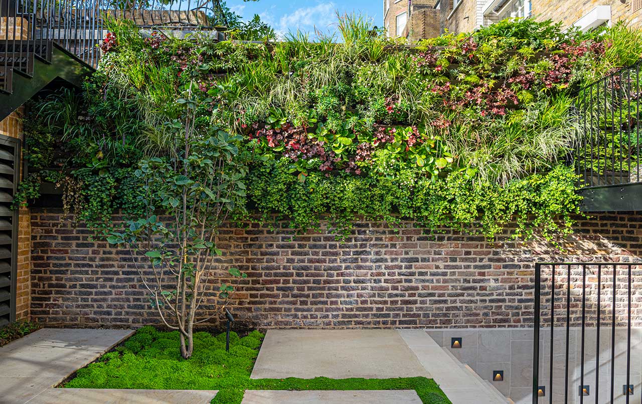 Knightsbridge minimalist garden lush green walls