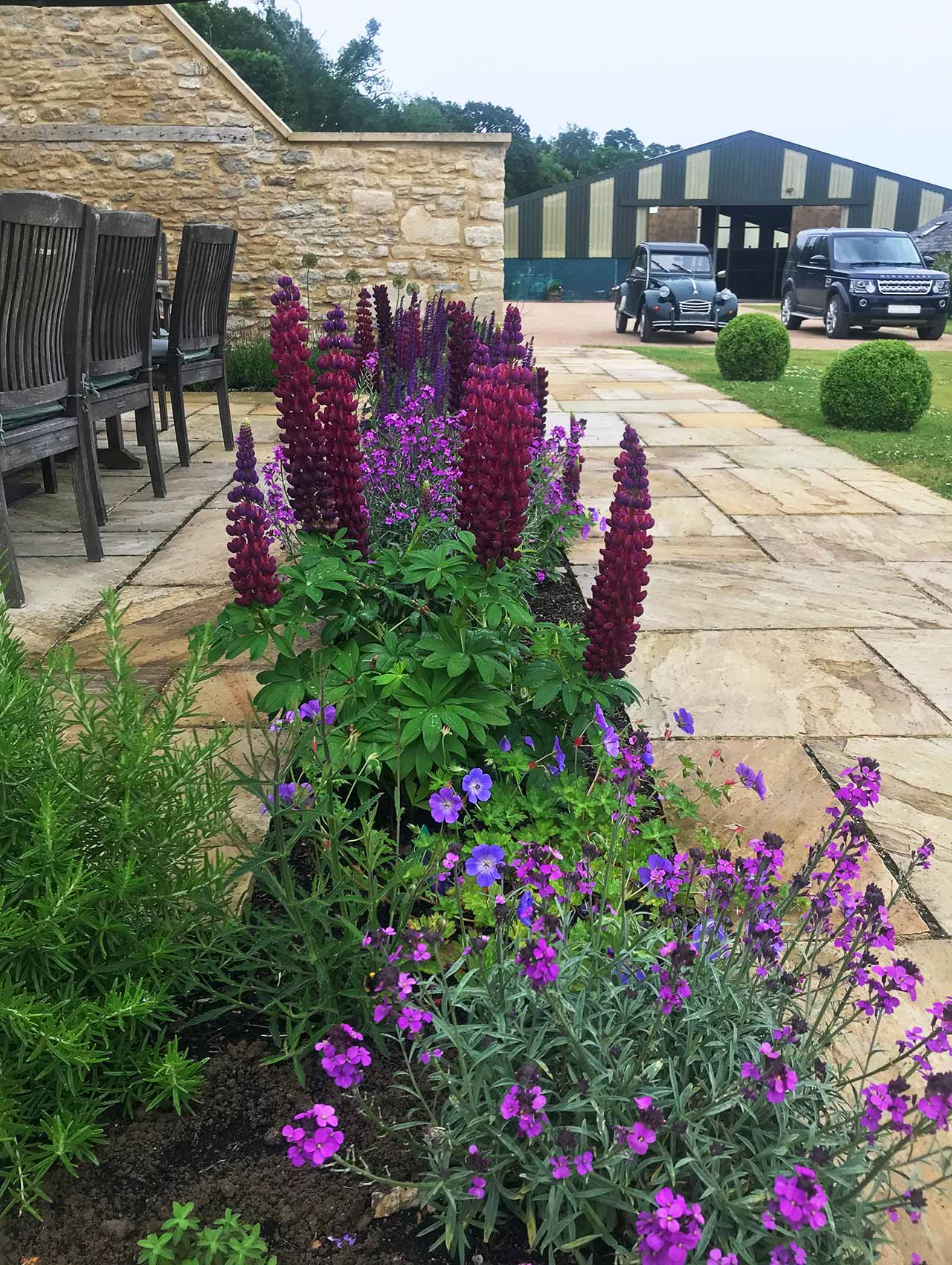 New planting in Oxfordshire around terrace area