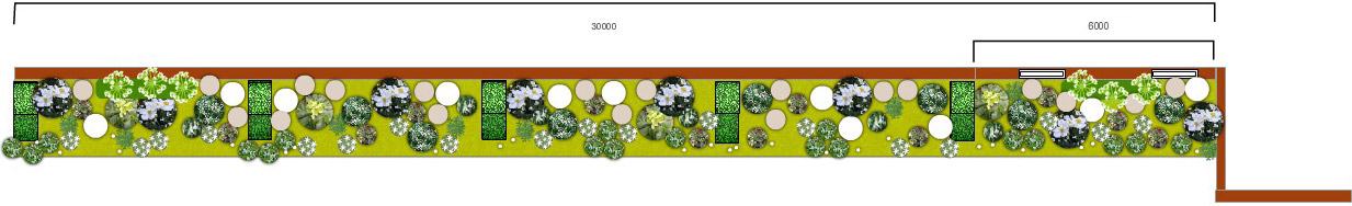 New planting in Oxfordshire long border sketch planting plan