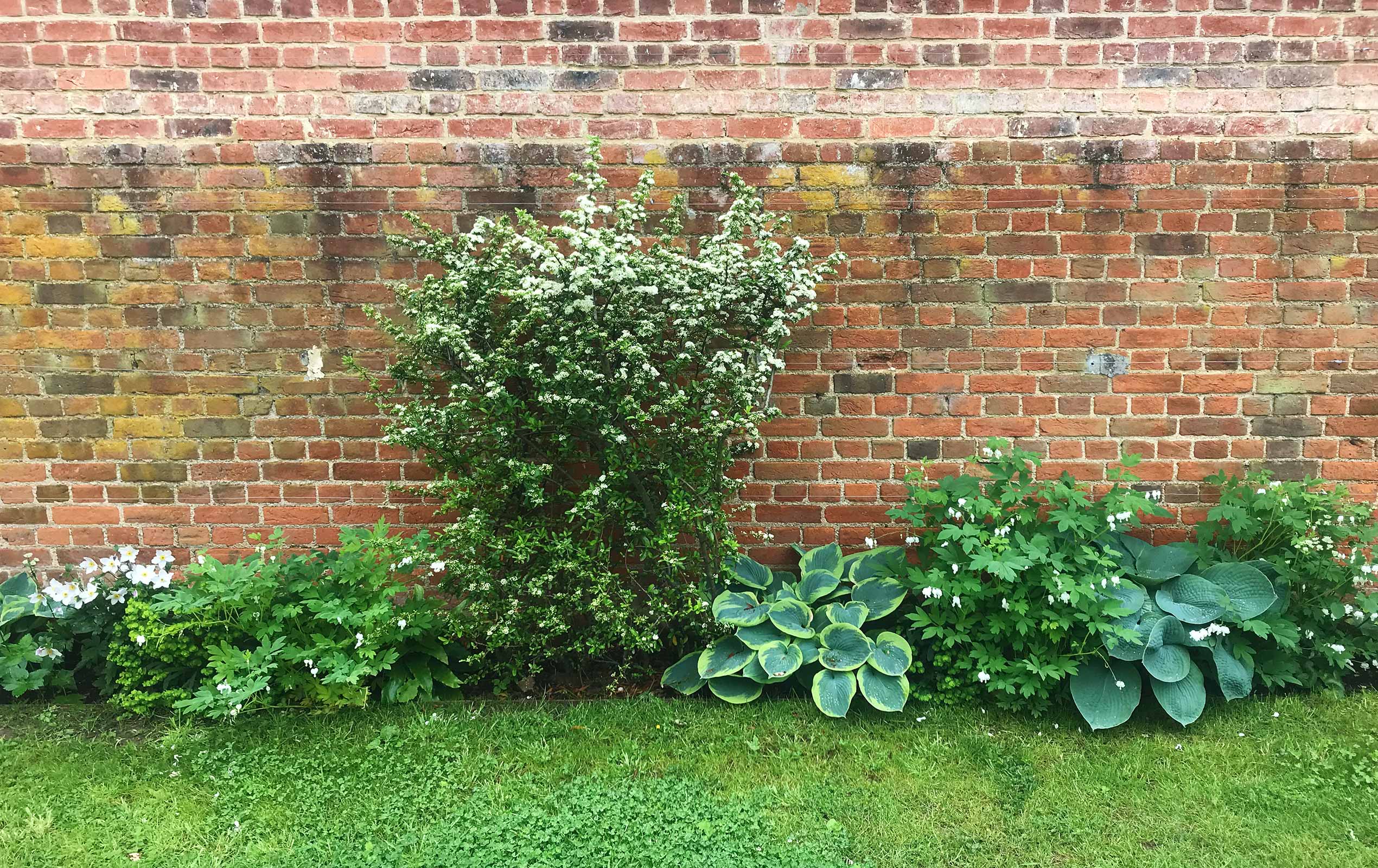 New planting in Oxfordshire by Maïtanne Hunt