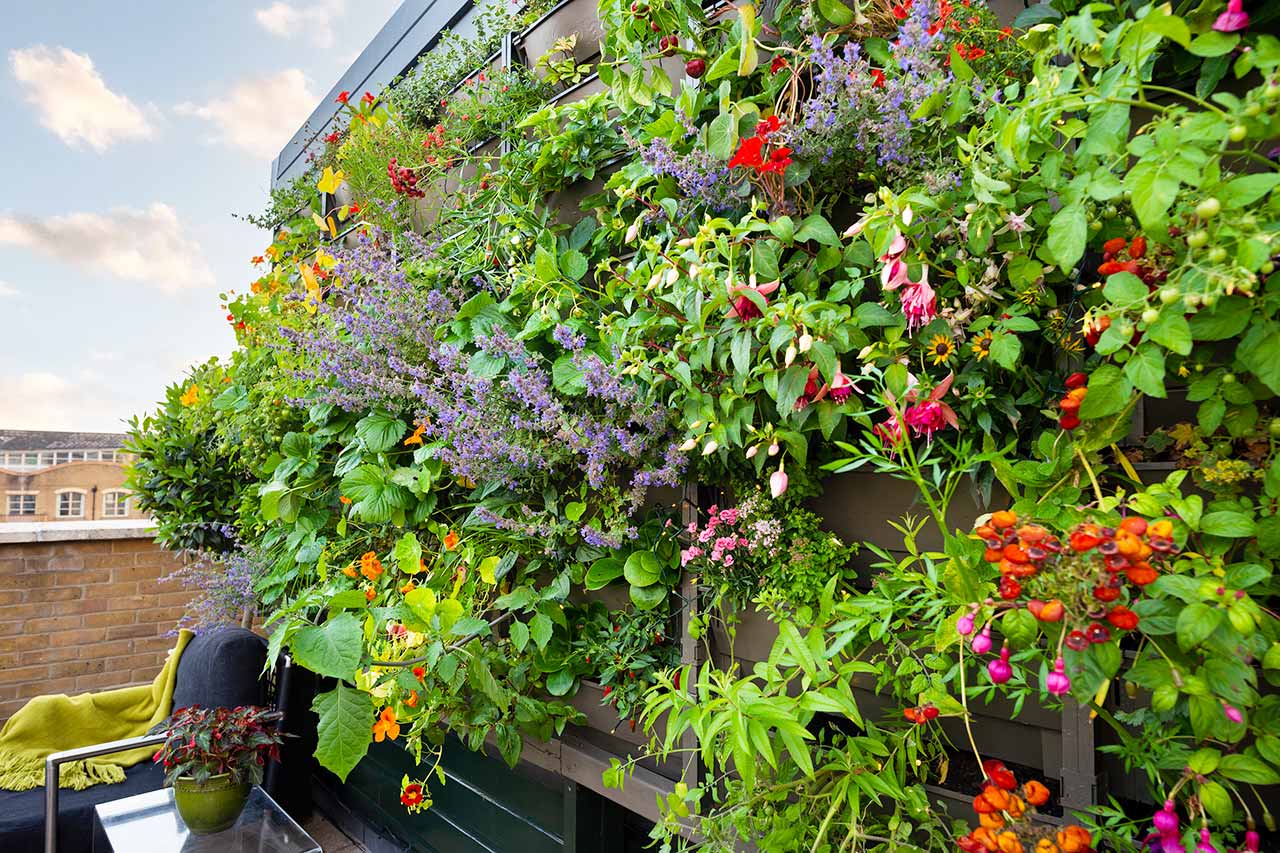 Potager Green Wall supports biodiversity and allows pollinators to thrive